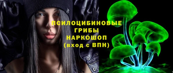 стаф Алзамай