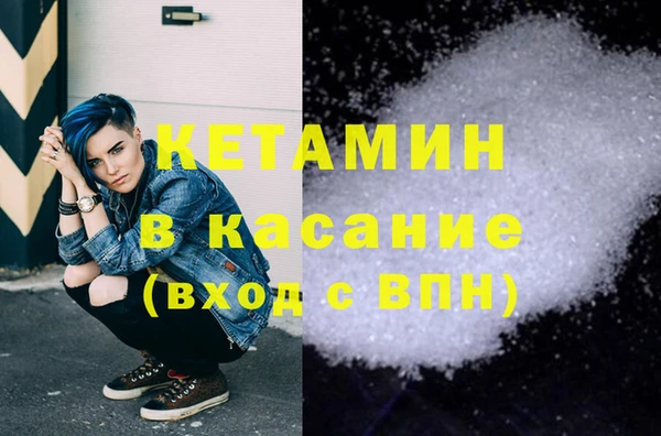 стаф Алзамай