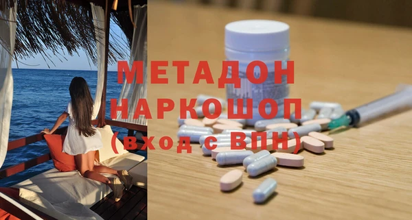 стаф Алзамай