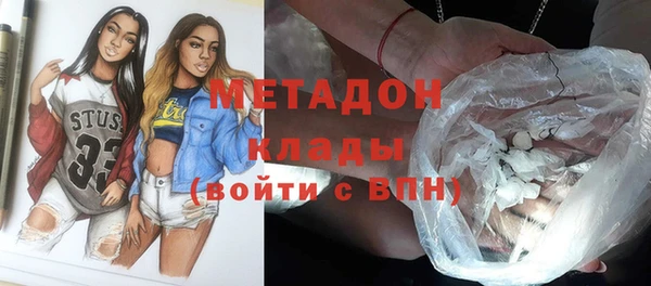 стаф Алзамай